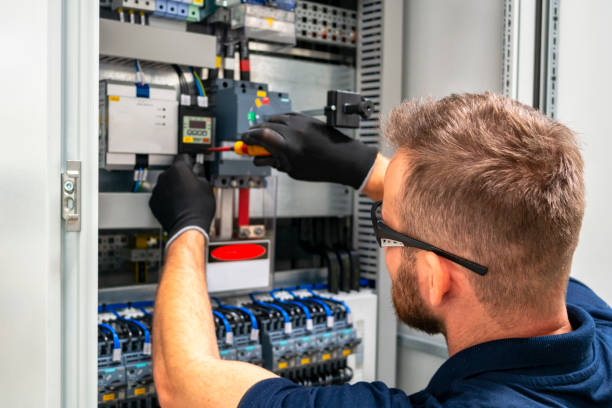 Best Electric Panel Repair  in Roseau, MN