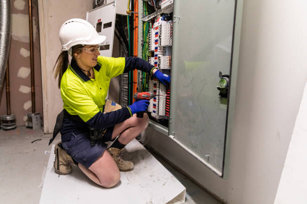Best Residential Electrician Services  in Roseau, MN