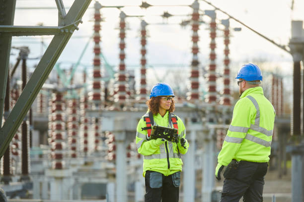 Best Electrician for Home Renovation  in Roseau, MN