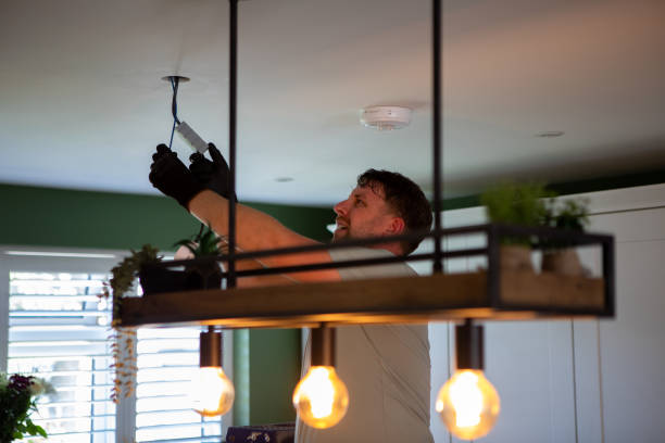Best Commercial Electrician Services  in Roseau, MN