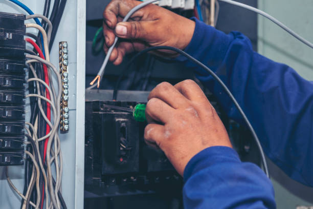 Best Generator Installation Services  in Roseau, MN
