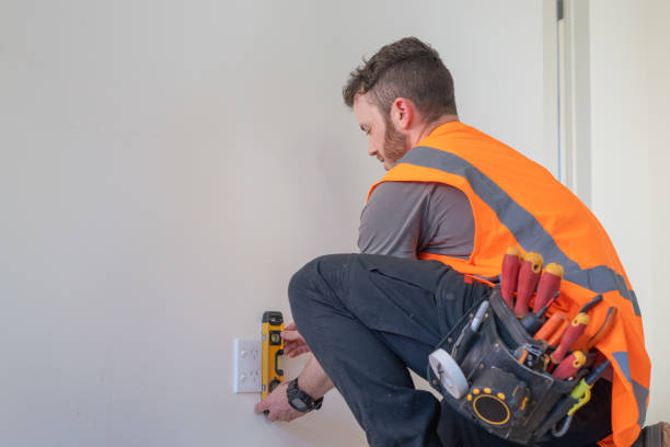 Best Electrician Near Me  in Roseau, MN