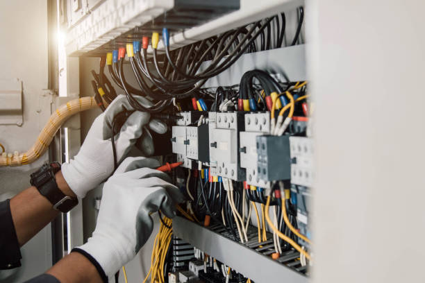 Best Local Electrician Companies  in Roseau, MN